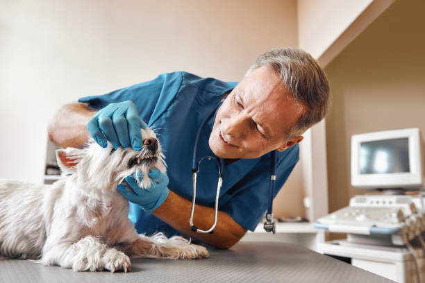 Best Emergency Wisdom Tooth Extraction in Vaiden, MS