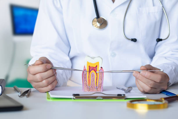 Best Emergency Cosmetic Dentistry (e.g., broken veneers) in Vaiden, MS
